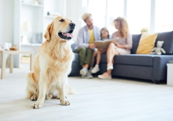 Family On Sofa With Golden Retriever In Foreground